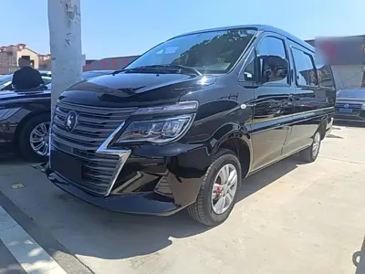 Fengxing Lingzhi