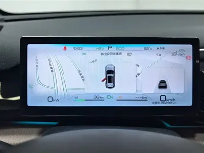 BYD Pro New Energy