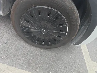 Wuling Bingo