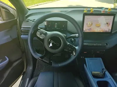 BYD Seagull