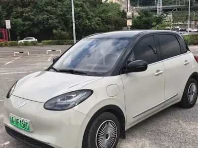 Wuling Bingo