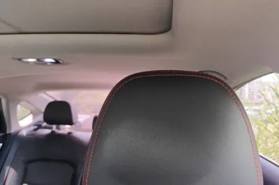 Geely Auto Binray