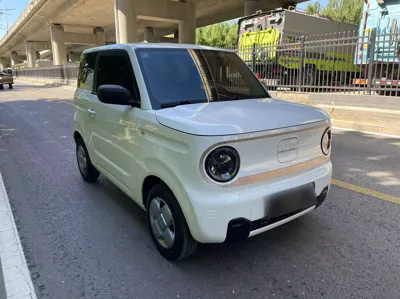 Geely Galaxy Panda
