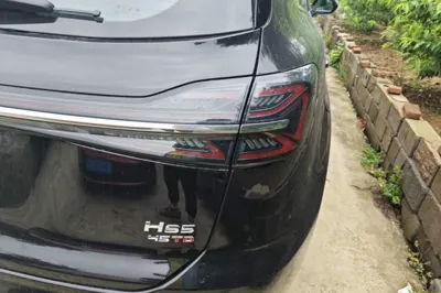 Hongqi HS5