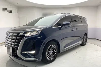 Denza D9