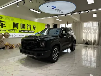 Haval Big Dog