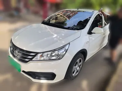 Baojun 310