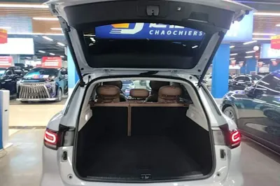 Leapmotor C11