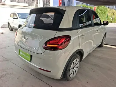Wuling Bingo