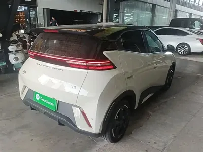 BYD Seagull