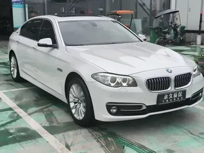 BMW 5 Series New Energy