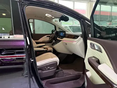 Hongqi Hongqi HQ9