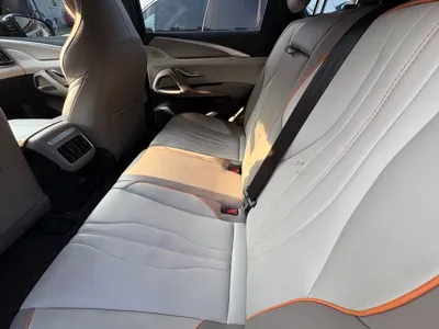 BYD Pro New Energy