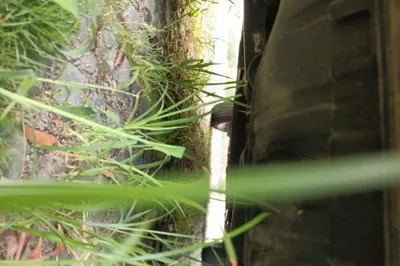 WEY VV7