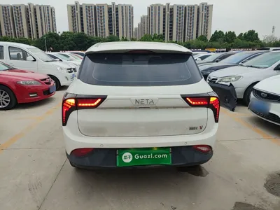 NETA V