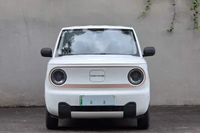 Geely Galaxy Panda