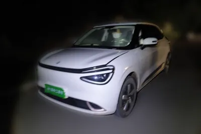 Dongfeng NAMMI 01