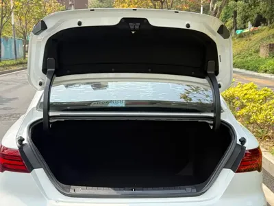 Geely Binrui