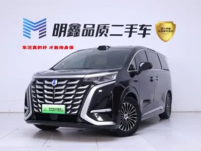 Denza Denza D9
