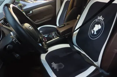 Haval H8