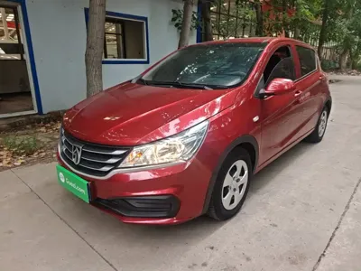 Baojun 310