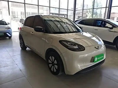 Wuling Bingo