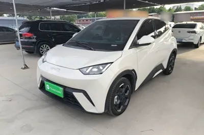 BYD Seagull