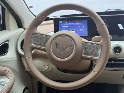 Wuling Bingo