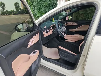 BYD Seagull