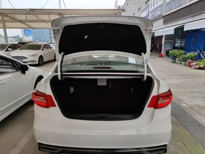 Fengxing S50