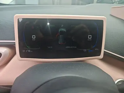 BYD Seagull