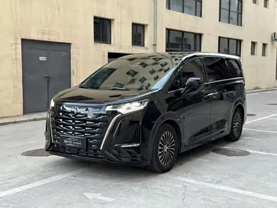 Denza Denza D9