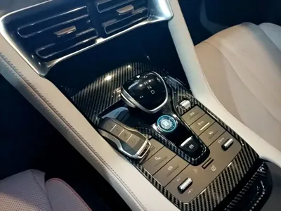 BYD PLUS New Energy