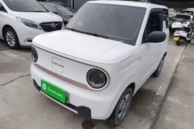 Geely Galaxy Panda