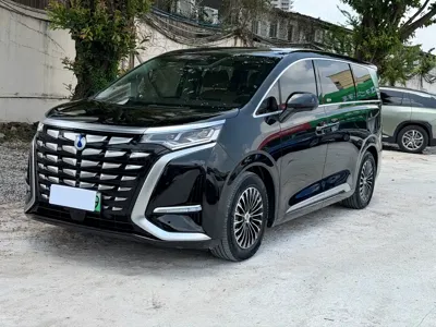 Denza Denza D9