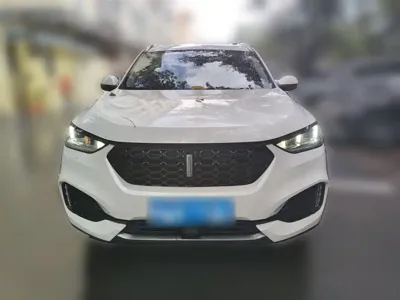 WEY Wey VV6