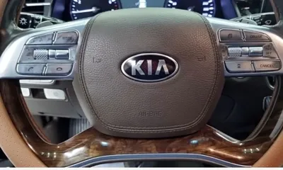 Kia K9