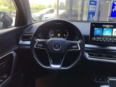 BYD Pro