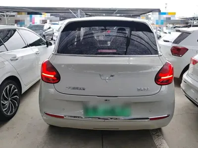 Wuling Bingo