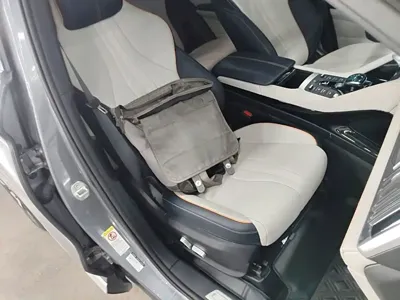 BYD PLUS New Energy