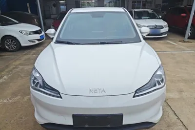 NETA V