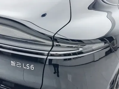 IM IM LS6