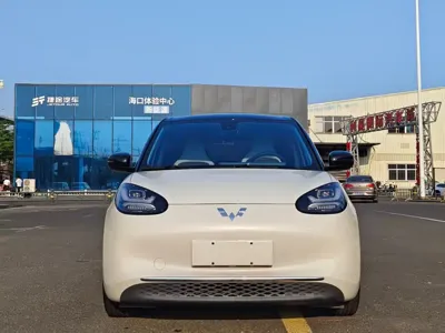 Wuling Bingo