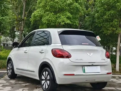 Wuling Bingo