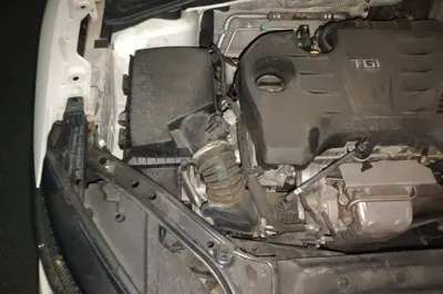 MG 6