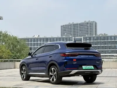 BYD PLUS New Energy