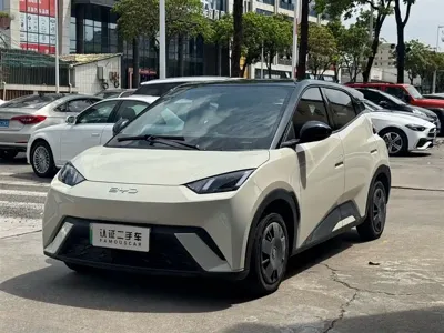 BYD Seagull