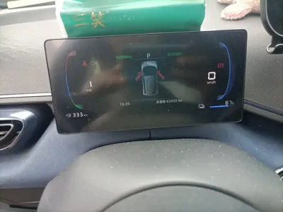 BYD Seagull