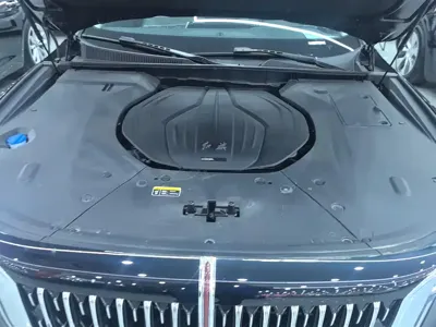 Hongqi Hongqi H9
