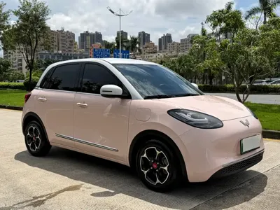 Wuling Bingo